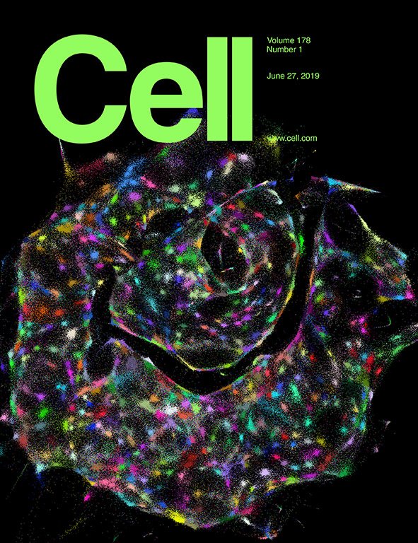 Cover of Cell, 27 June 2019