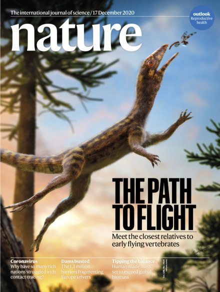 Cover of Nature, 17 December 2020 (The path to flight)